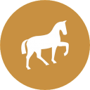 Horse 128
